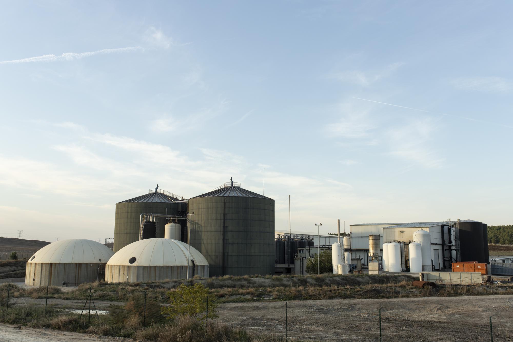 Macrogranja de Caparroso